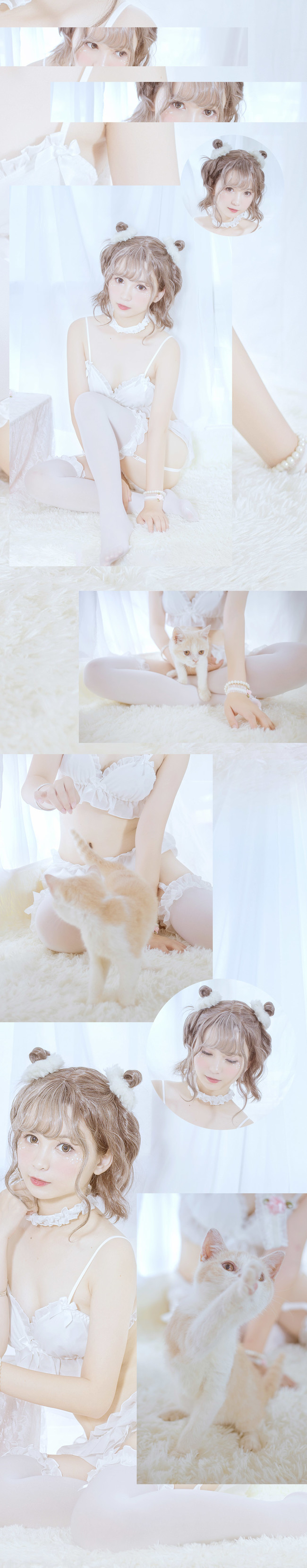enmmmm。。。还是看猫吧