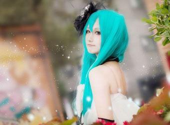 山茶花，MIKU and GUMI
