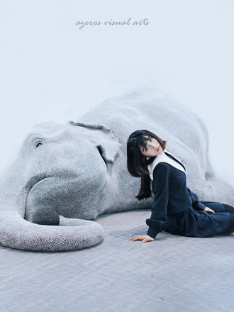 少女与漂流的象