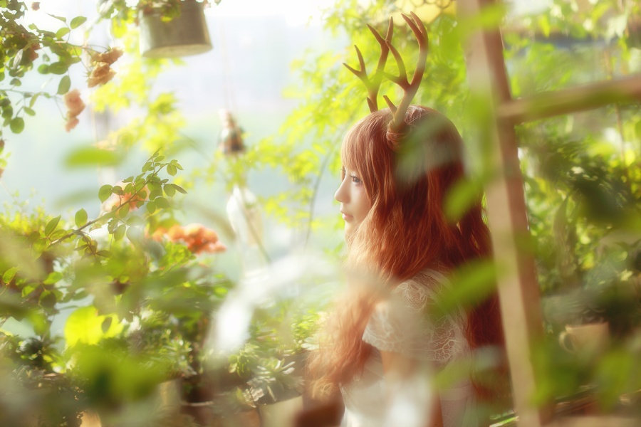 暮春·鹿影