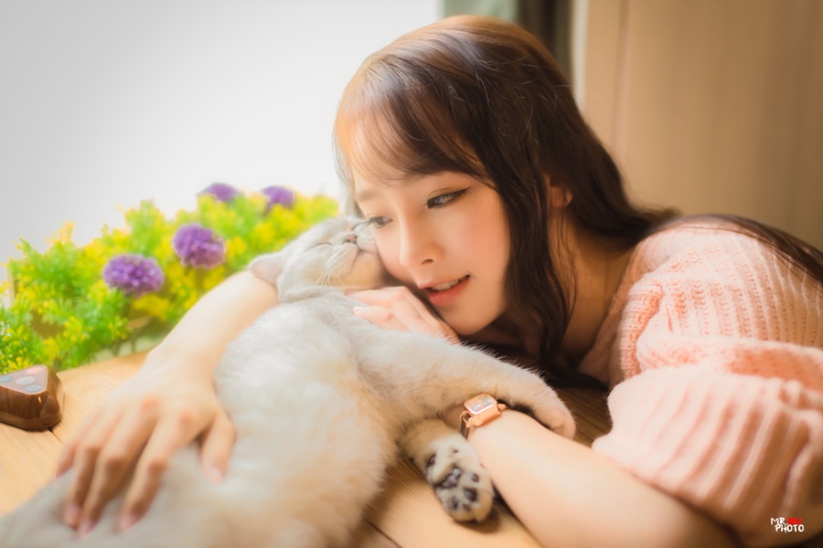 丹婷