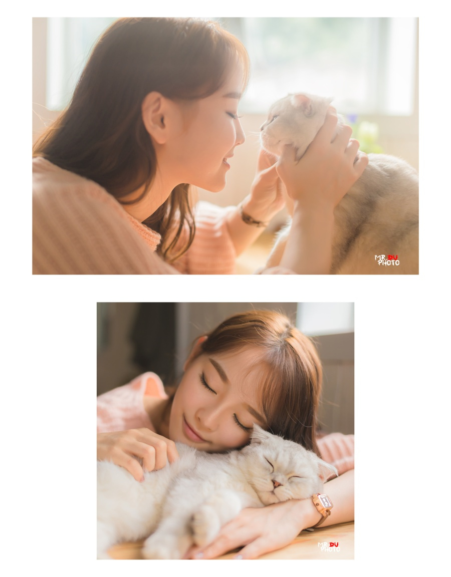 丹婷