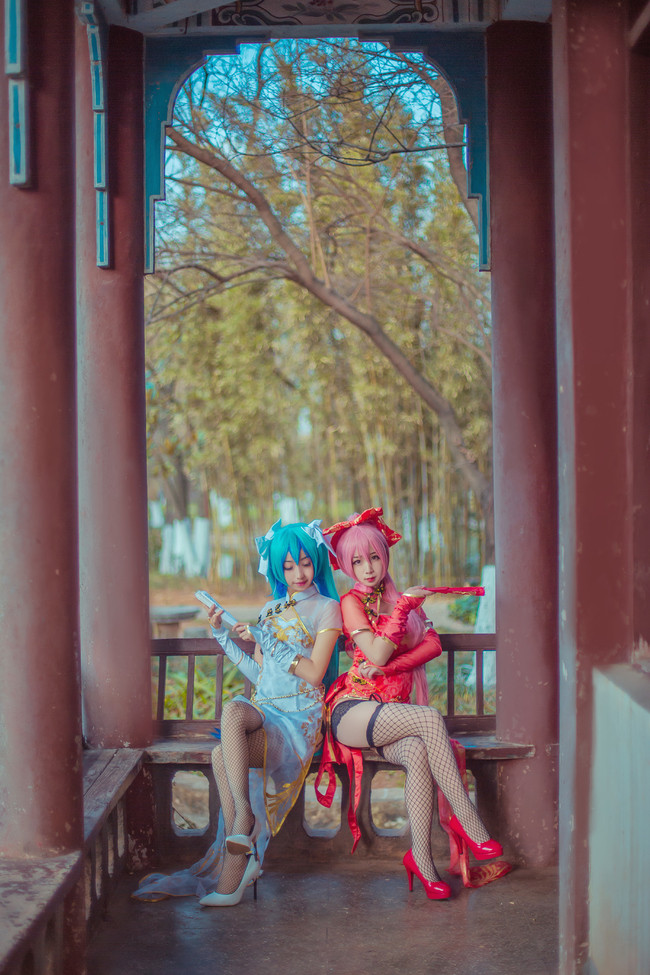 ——金丝雀ver——