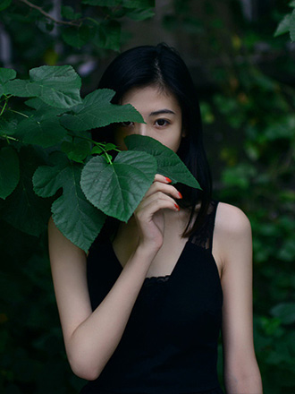苦艾之潮 