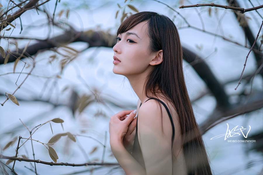 浅沚