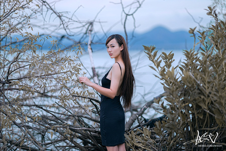 浅沚