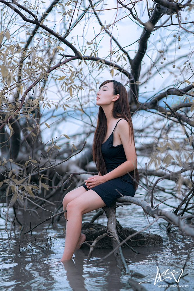 浅沚