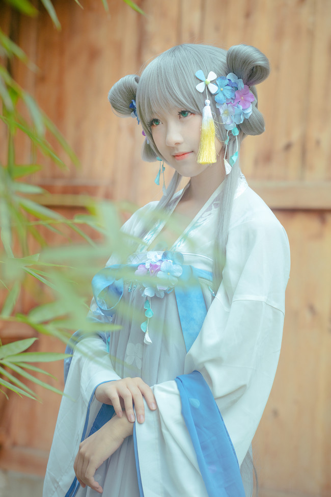 花辰月夕 洛天依