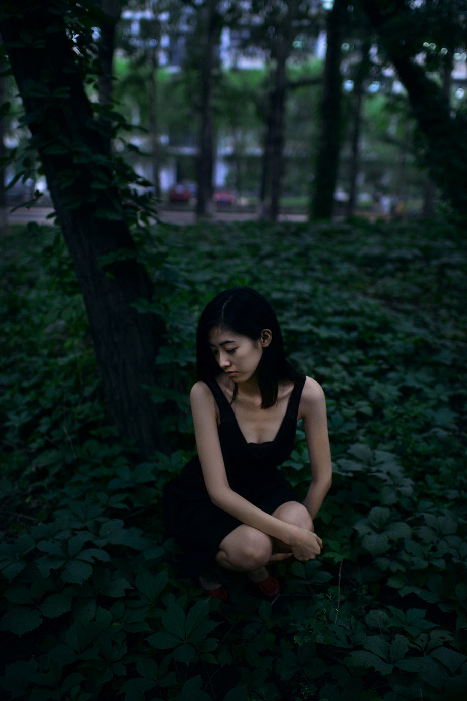 苦艾之潮 