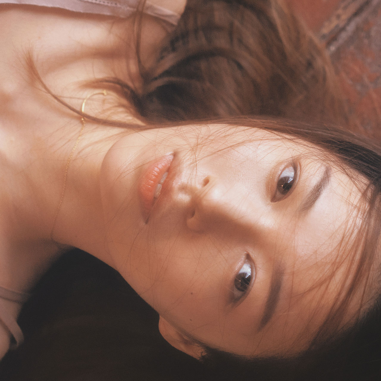 一鸽
