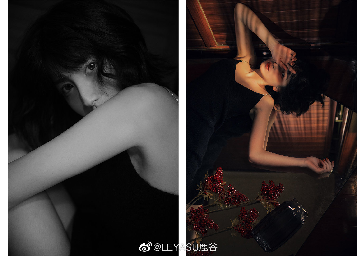 摄影不凡