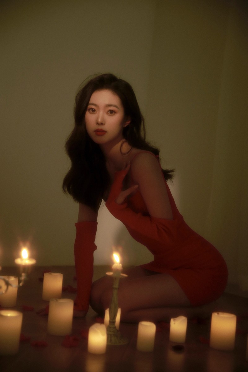 夜玫瑰
