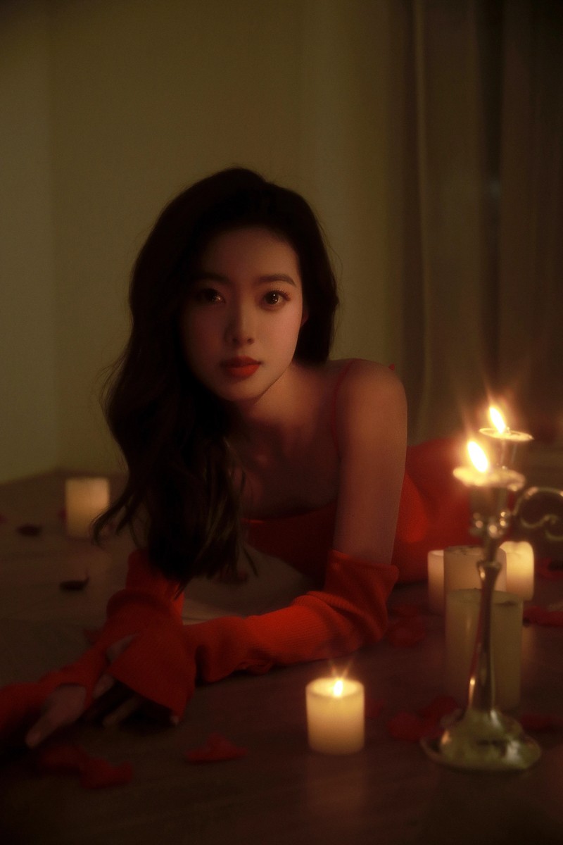 夜玫瑰