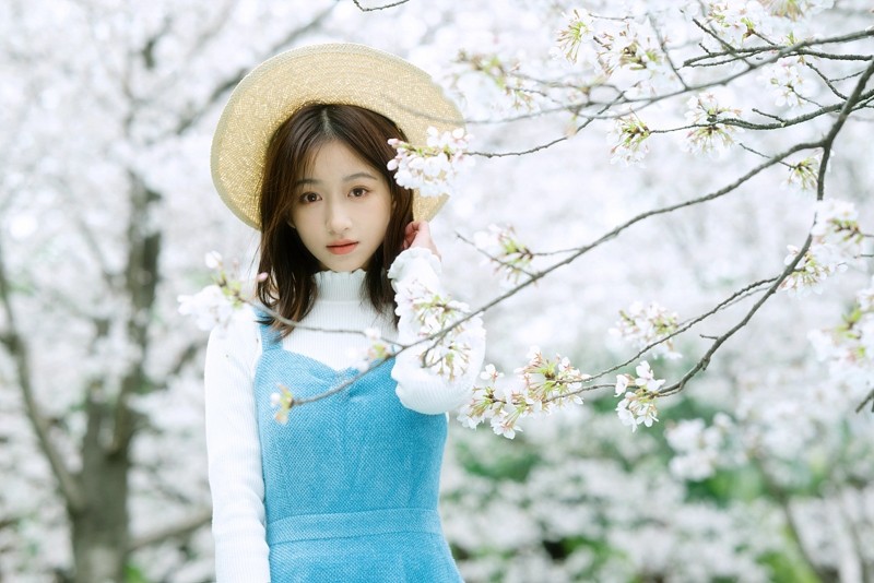 樱花