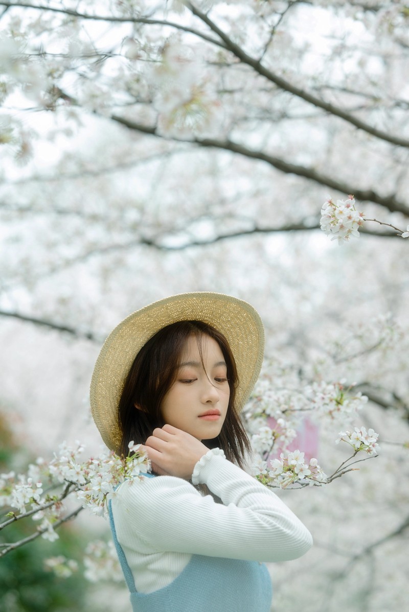 樱花