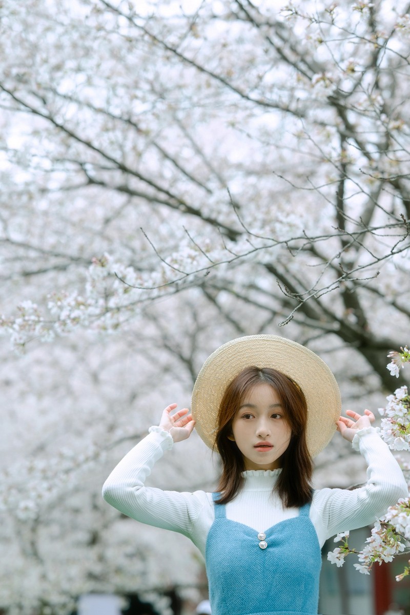 樱花