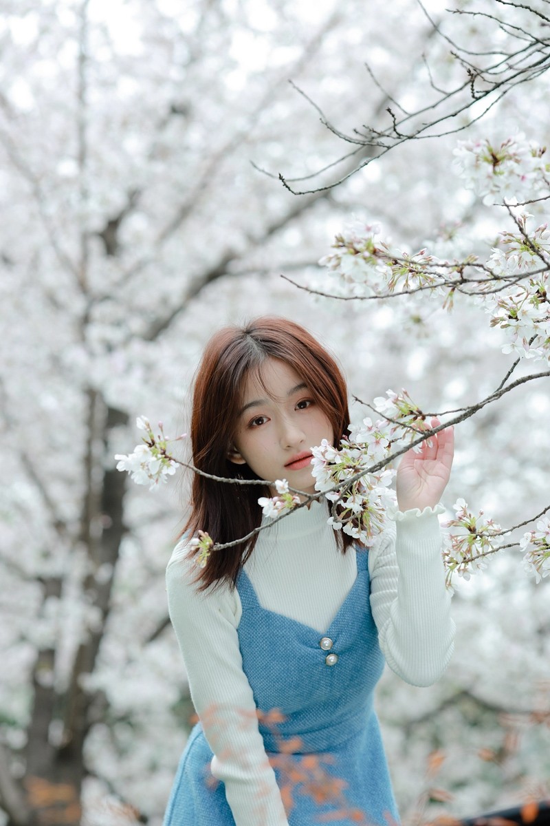 樱花