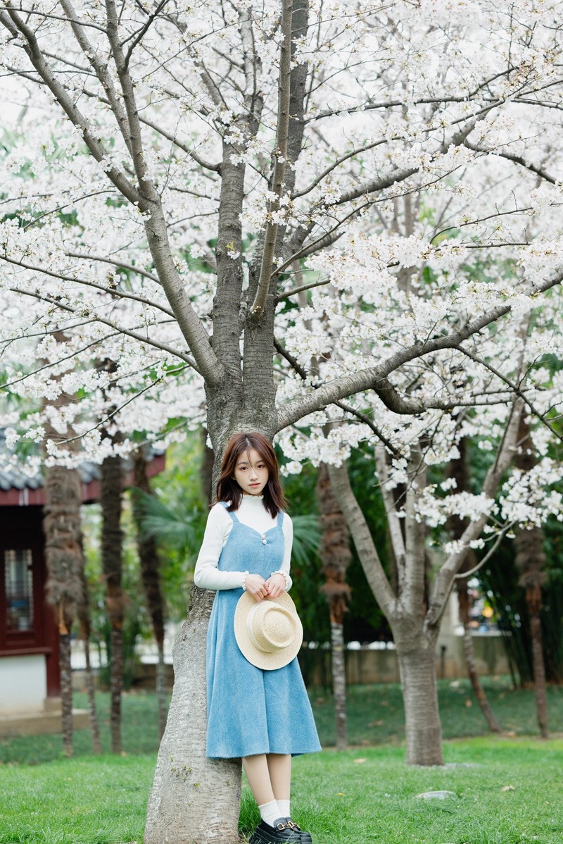 樱花