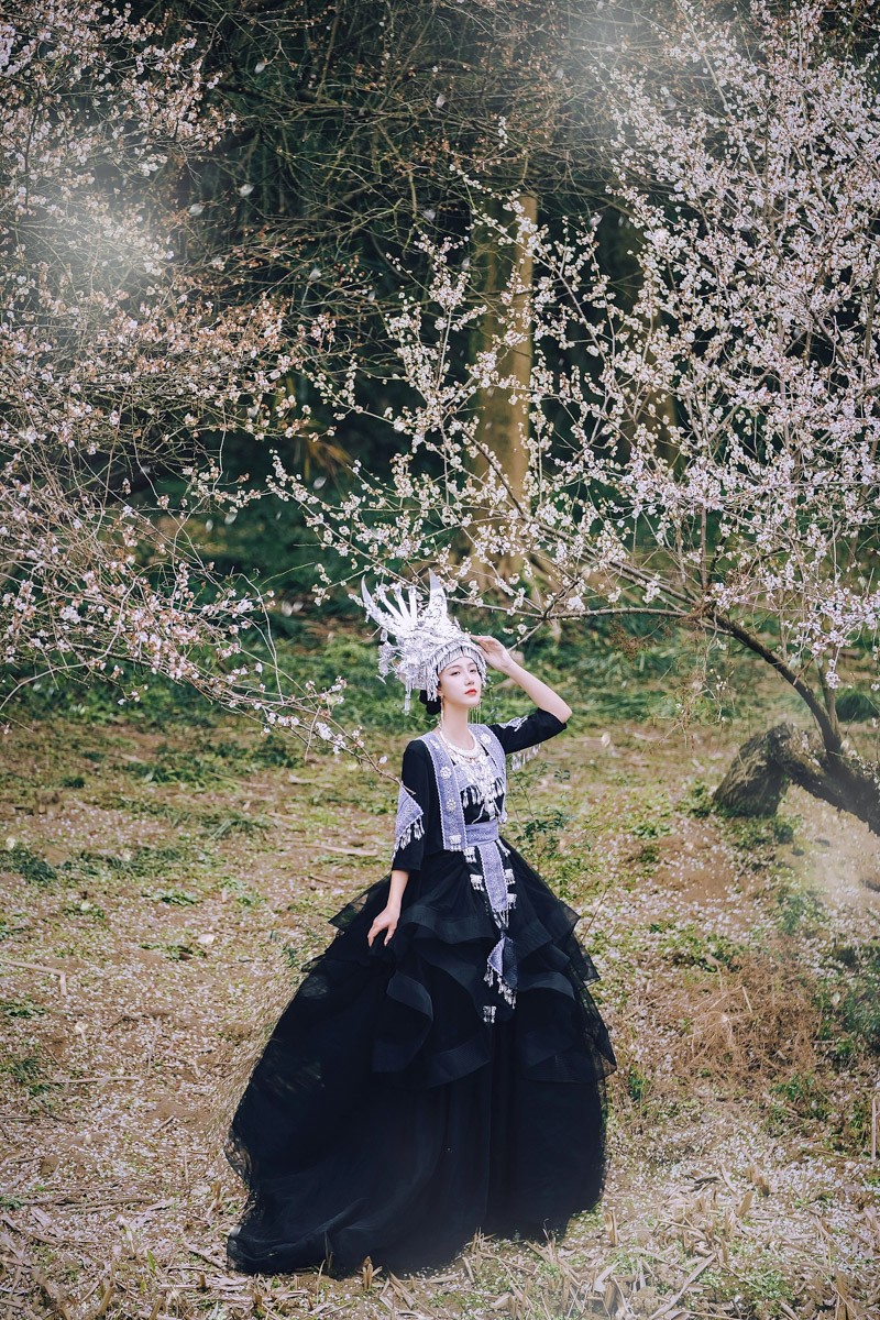 曲水寻梅