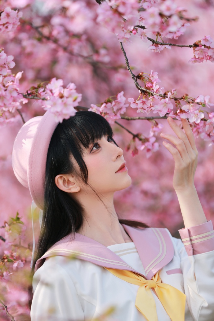 樱花 樱花 好想见你