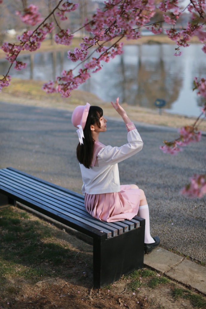 樱花 樱花 好想见你