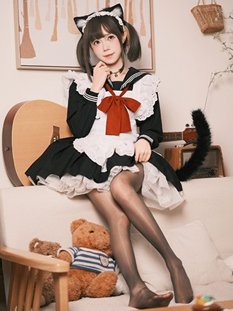 小猫不摸鱼 小猫天天向上